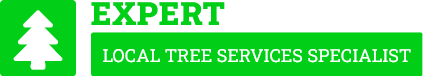 Auckland Tree Care - Tree Removal Auckland
